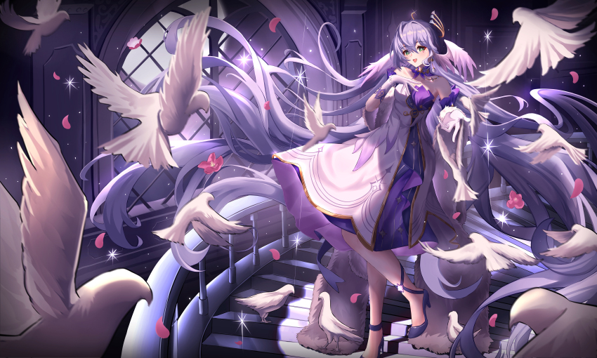 Robin (Honkai: Star Rail) Rule 34 Image