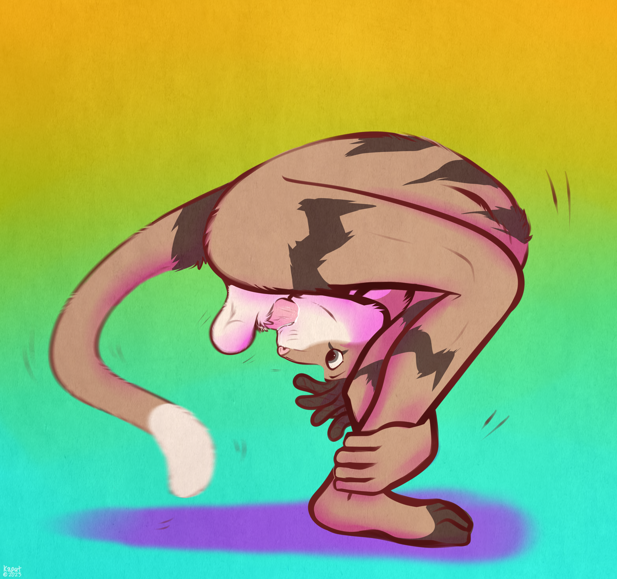 Trevor (Greycait) Rule 34 Image