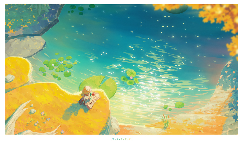 Link (Nintendo) Rule 34 Image