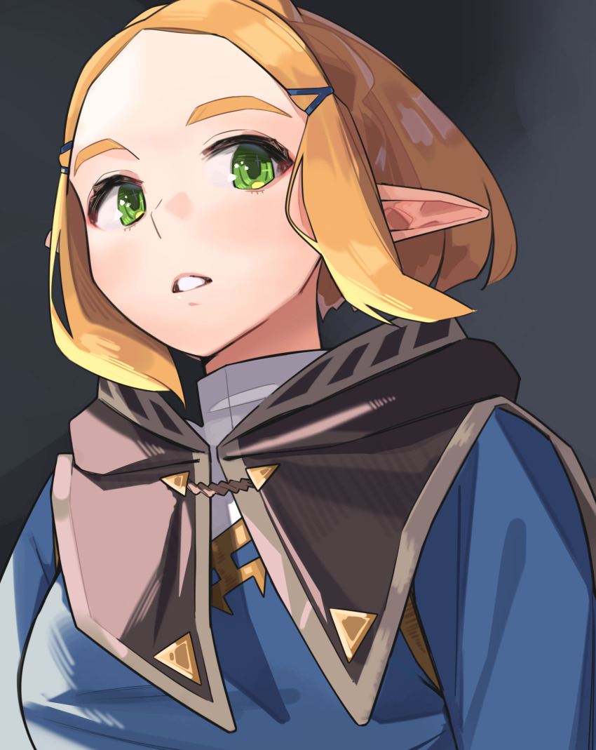 Princess Zelda (Nintendo) Rule 34 Image