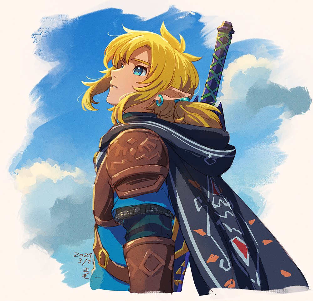 Link (Nintendo) Rule 34 Image