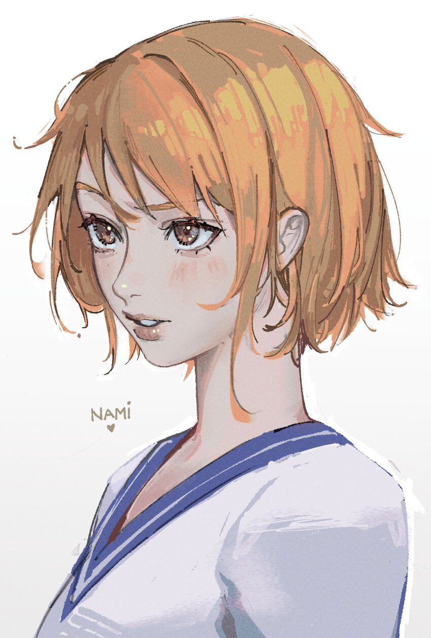 Nami (One Piece) Rule 34 Image