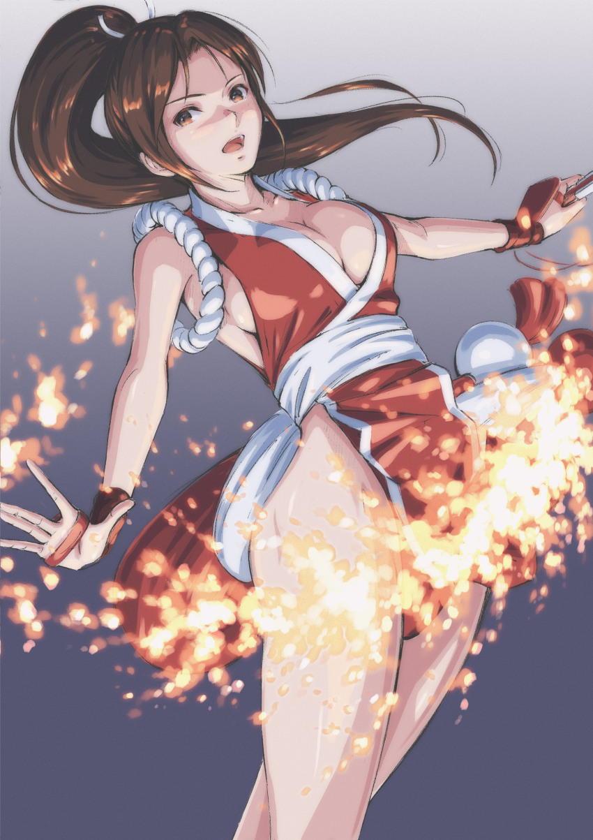 Fatal Fury Rule 34 Image