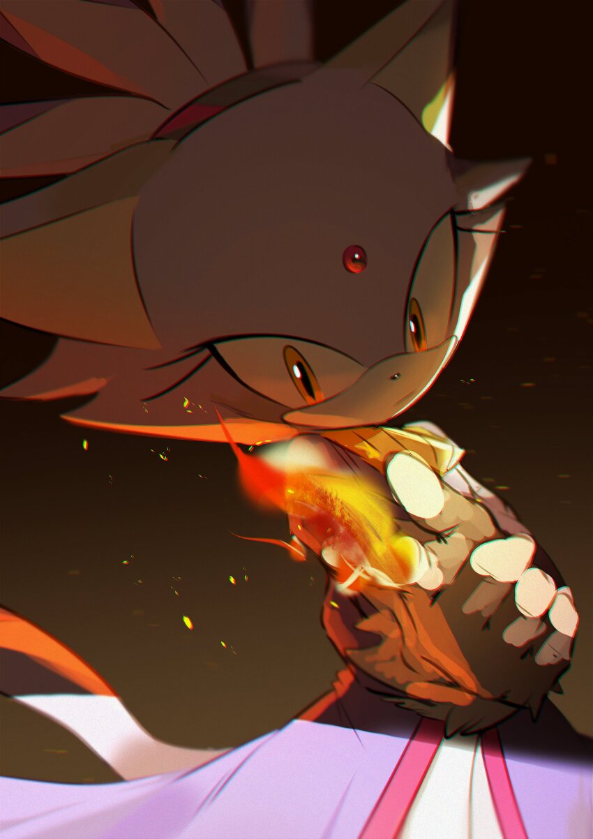 Blaze The Cat (Sonic (Series)) Rule 34 Image