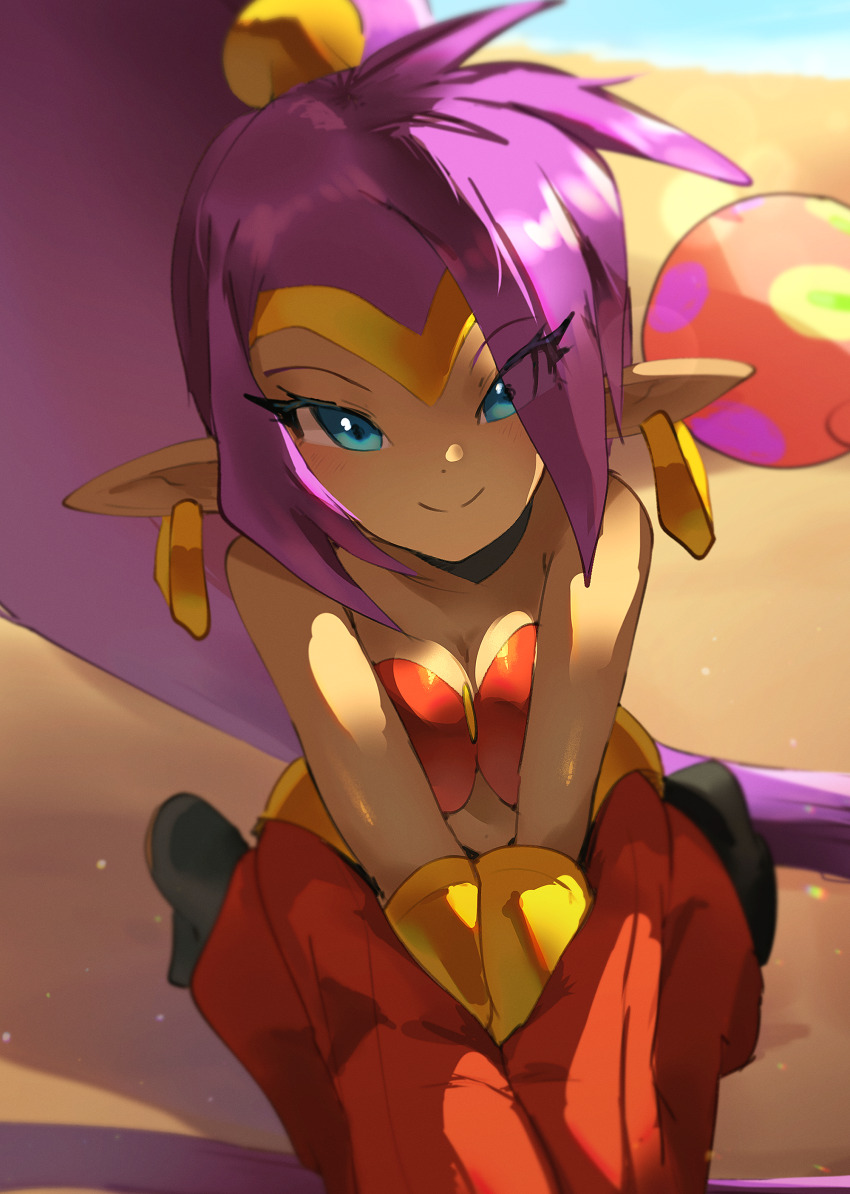Shantae Rule 34 Image