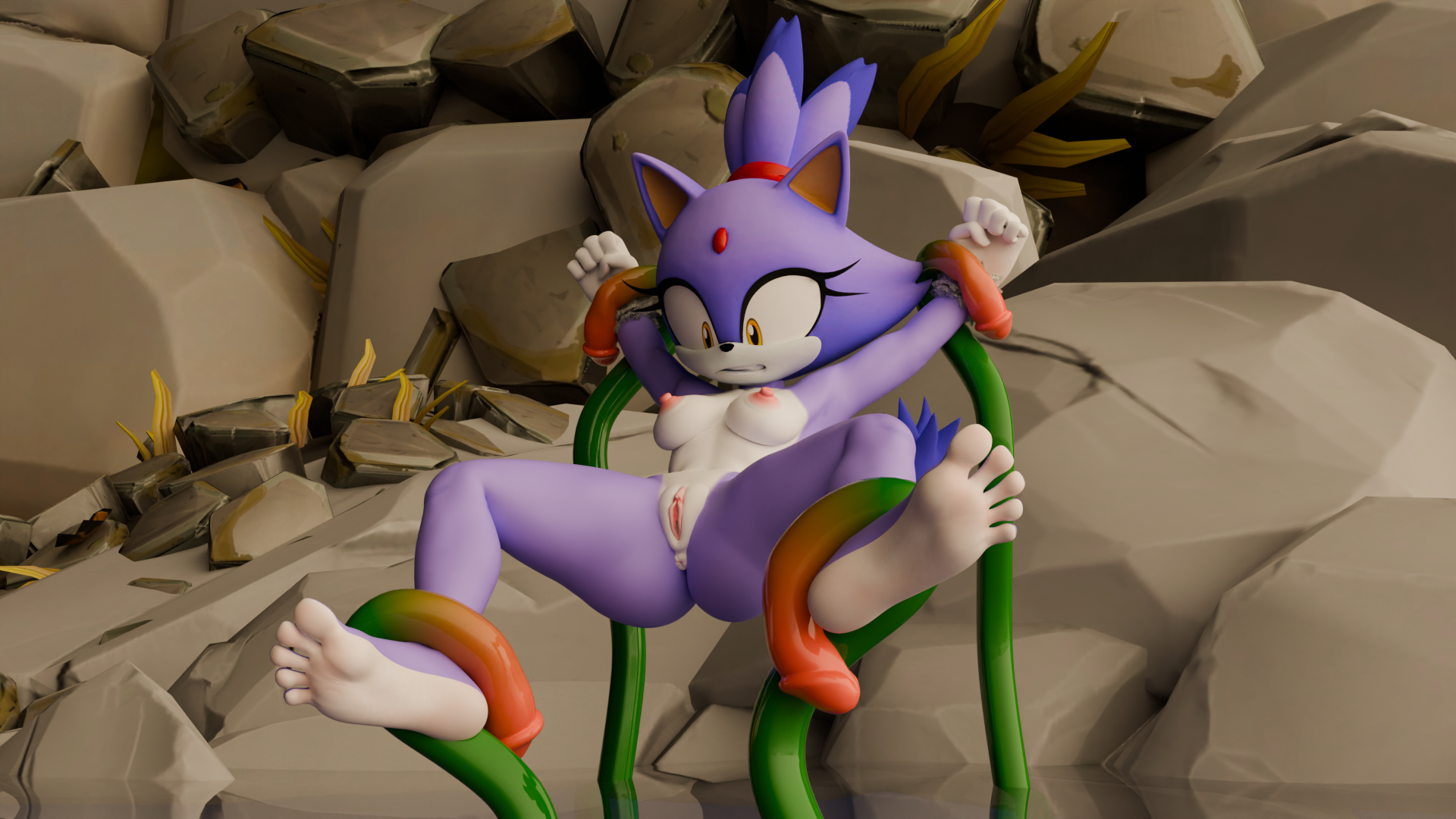 Blaze The Cat (Sega) Rule 34 Image