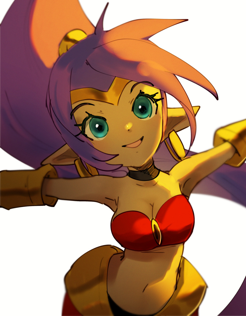 Shantae Rule 34 Image