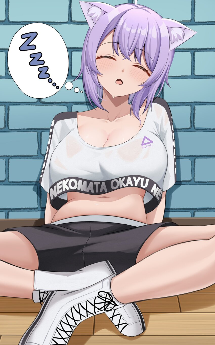 Nekomata Okayu (Hololive) Rule 34 Image