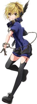 Animal Collar Rule 34 Image