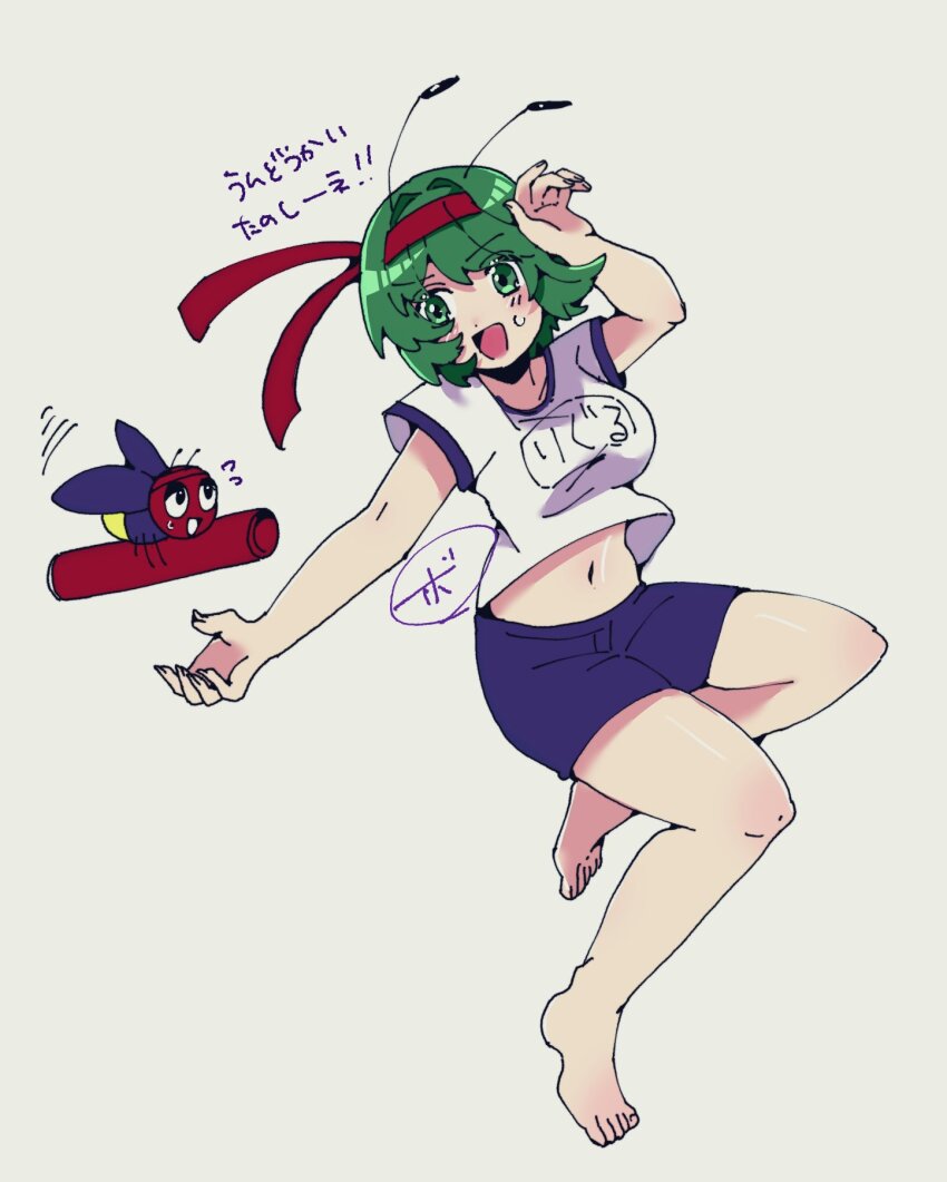 Wriggle Nightbug (Touhou) Rule 34 Image