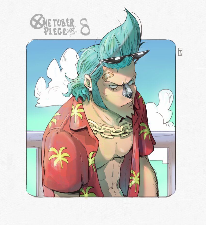Franky (One Piece) Rule 34 Image