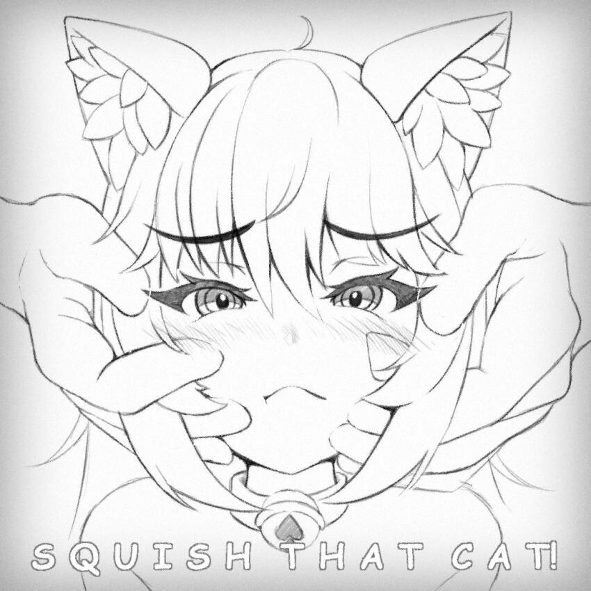 Cheshire Cat (Monster Girl Encyclopedia) Rule 34 Image