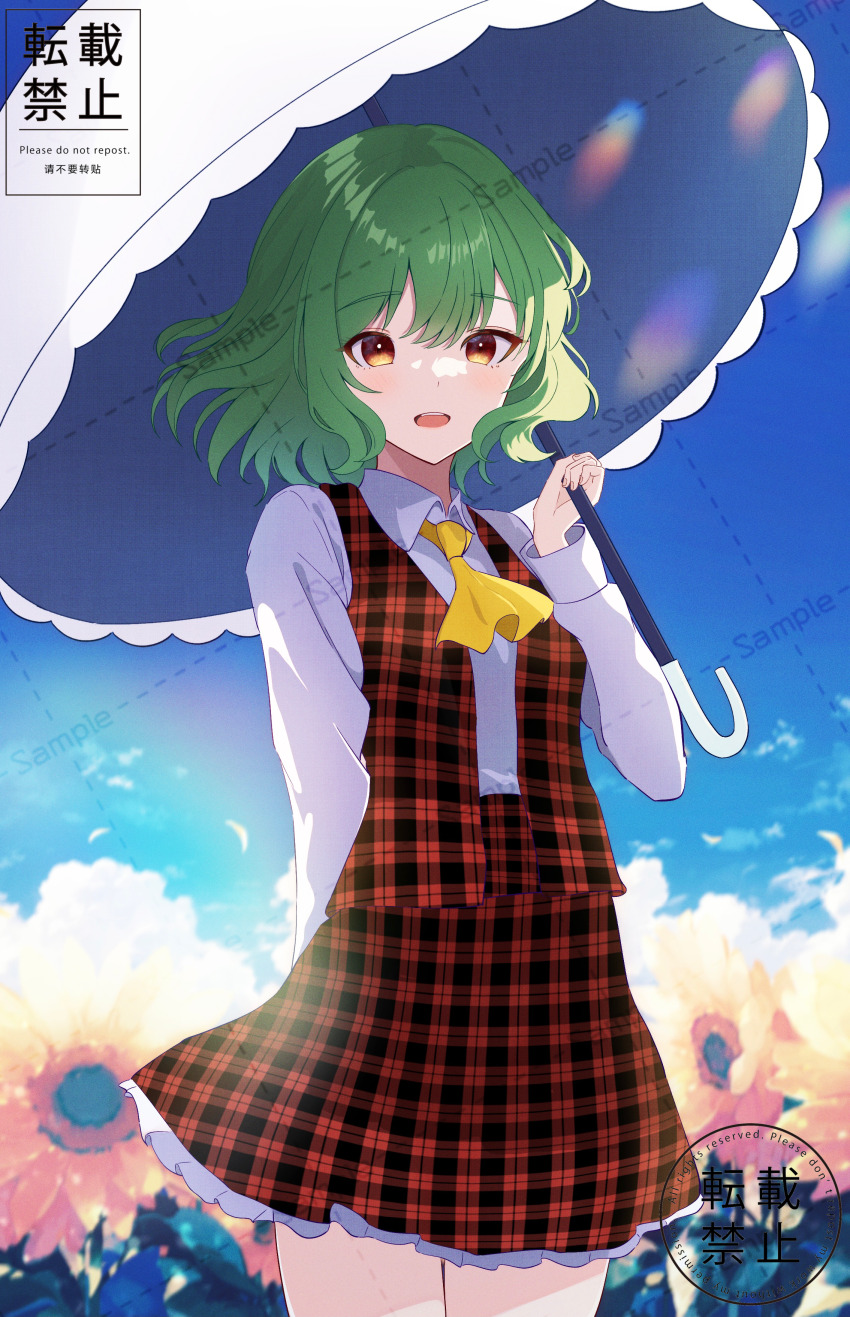 Kazami Yuuka (Touhou) Rule 34 Image