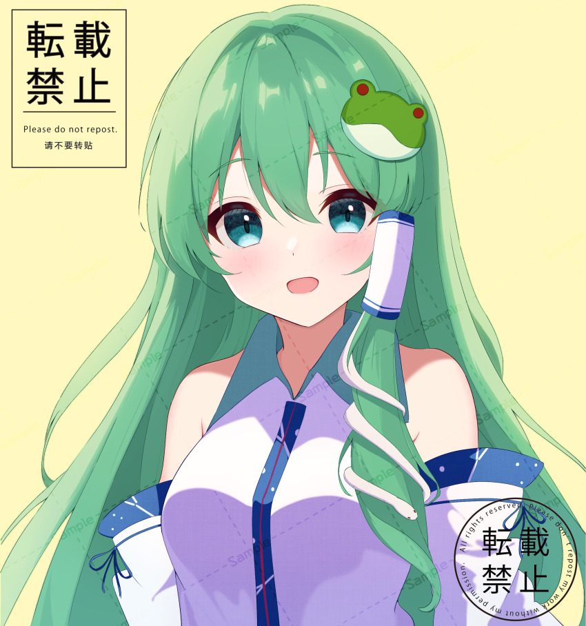 Kochiya Sanae (Touhou) Rule 34 Image