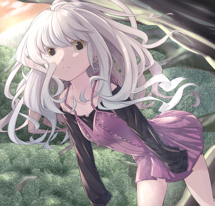 Ahoge Rule 34 Image