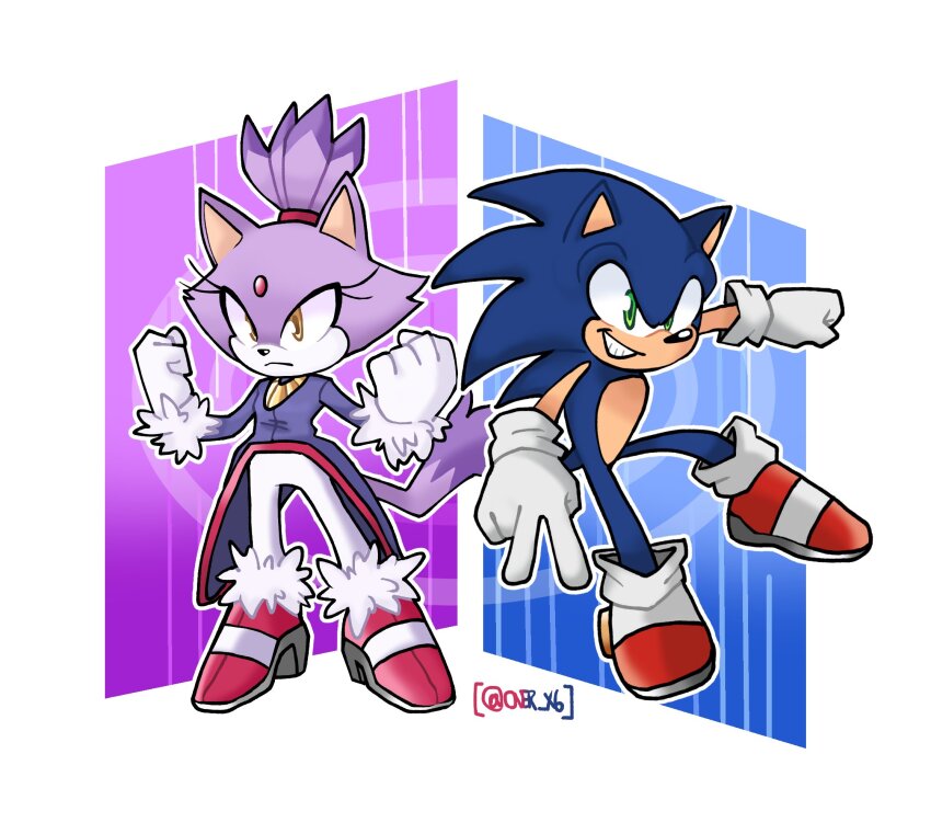 Blaze The Cat (Sonic (Series)) Rule 34 Image