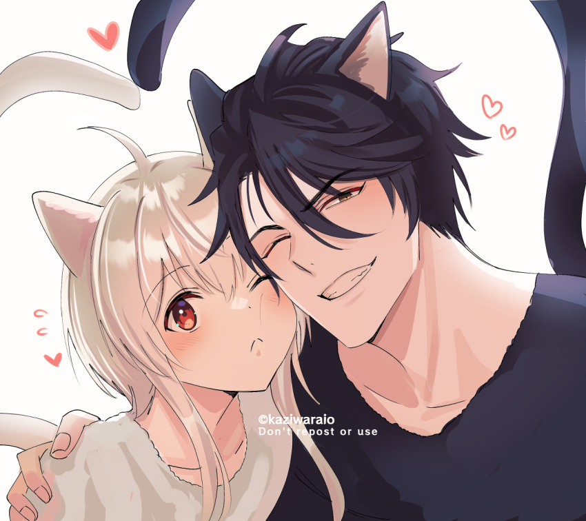 Cat Day Rule 34 Image