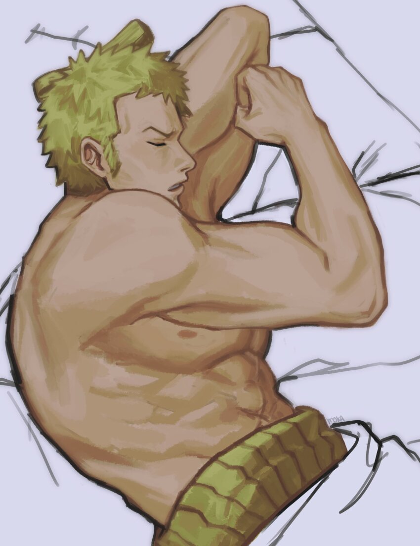 Roronoa Zoro (One Piece) Rule 34 Image