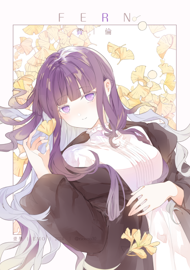 Fern (Sousou No Frieren) Rule 34 Image