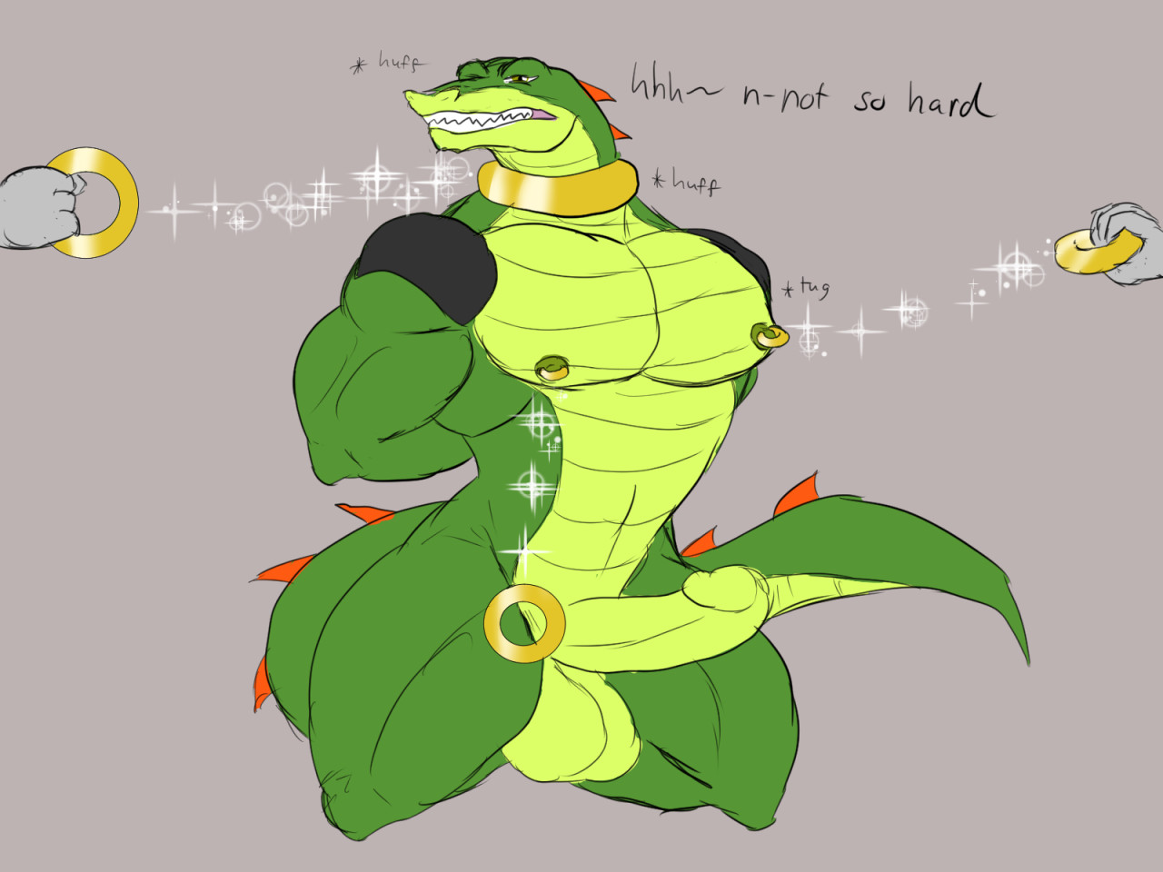 Vector The Crocodile (Sonic (Series)) Rule 34 Image