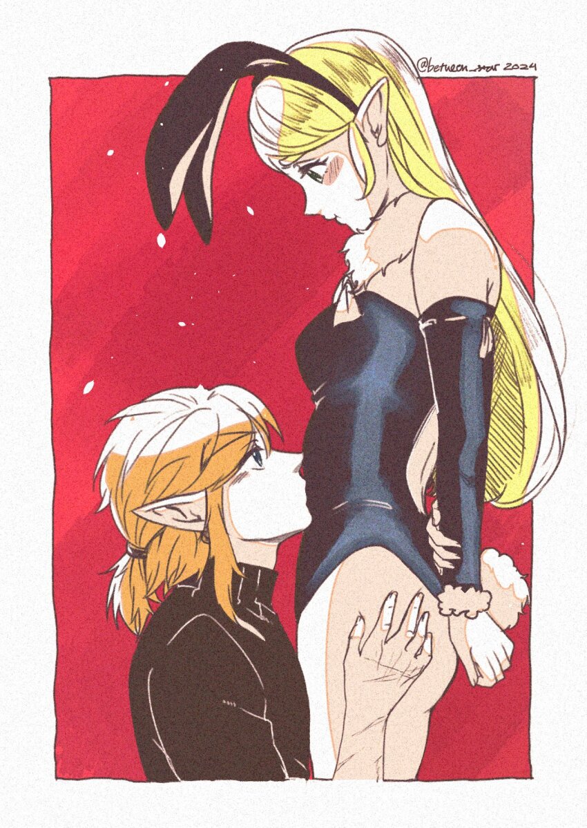 Link (Nintendo) Rule 34 Image