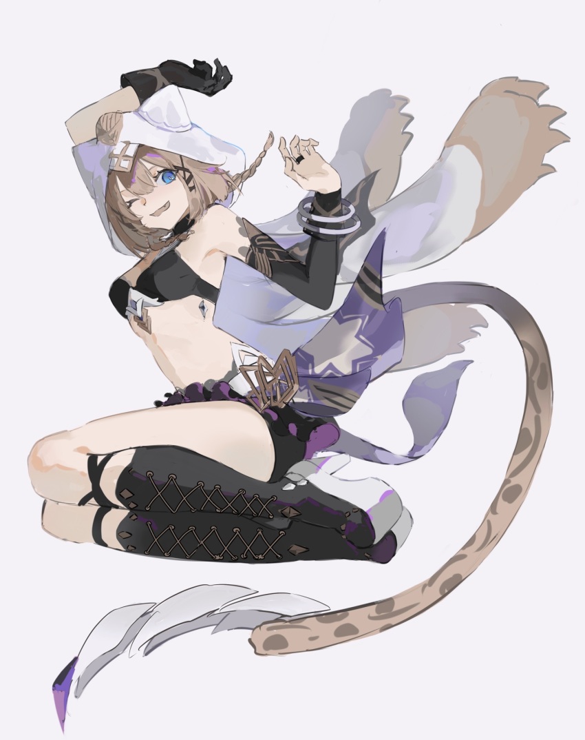 Pardofelis (Reverist Calico) Rule 34 Image