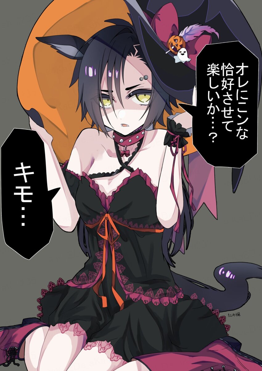 Air Shakur (Umamusume) Rule 34 Image