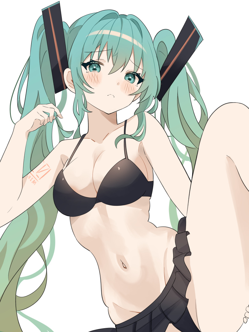 Hatsune Miku (Vocaloid) Rule 34 Image
