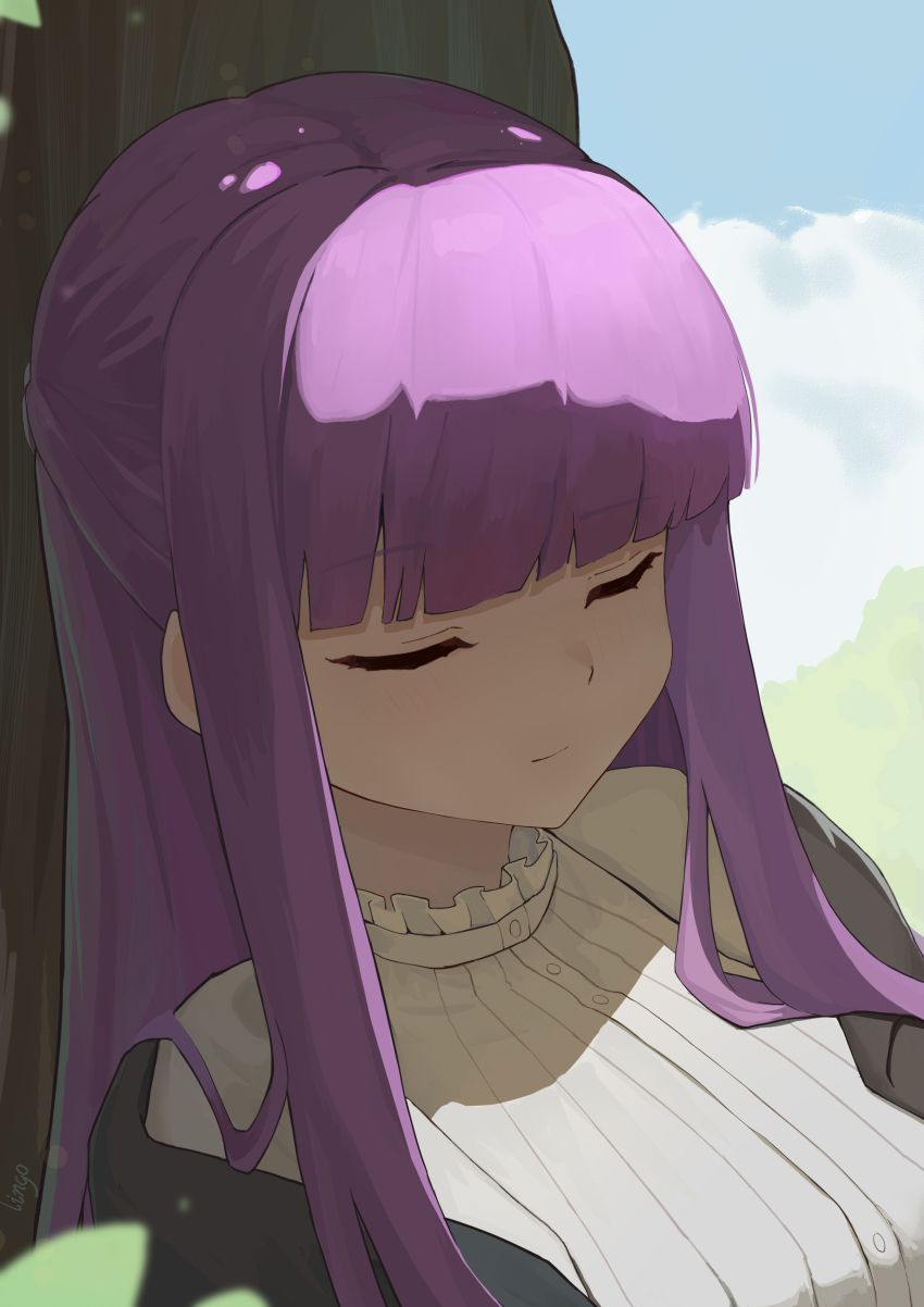 Fern (Sousou No Frieren) Rule 34 Image