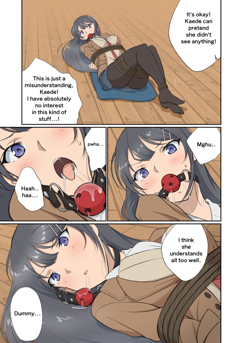 Sakurajima Mai (Seishun Buta Yarou) Rule 34 Image