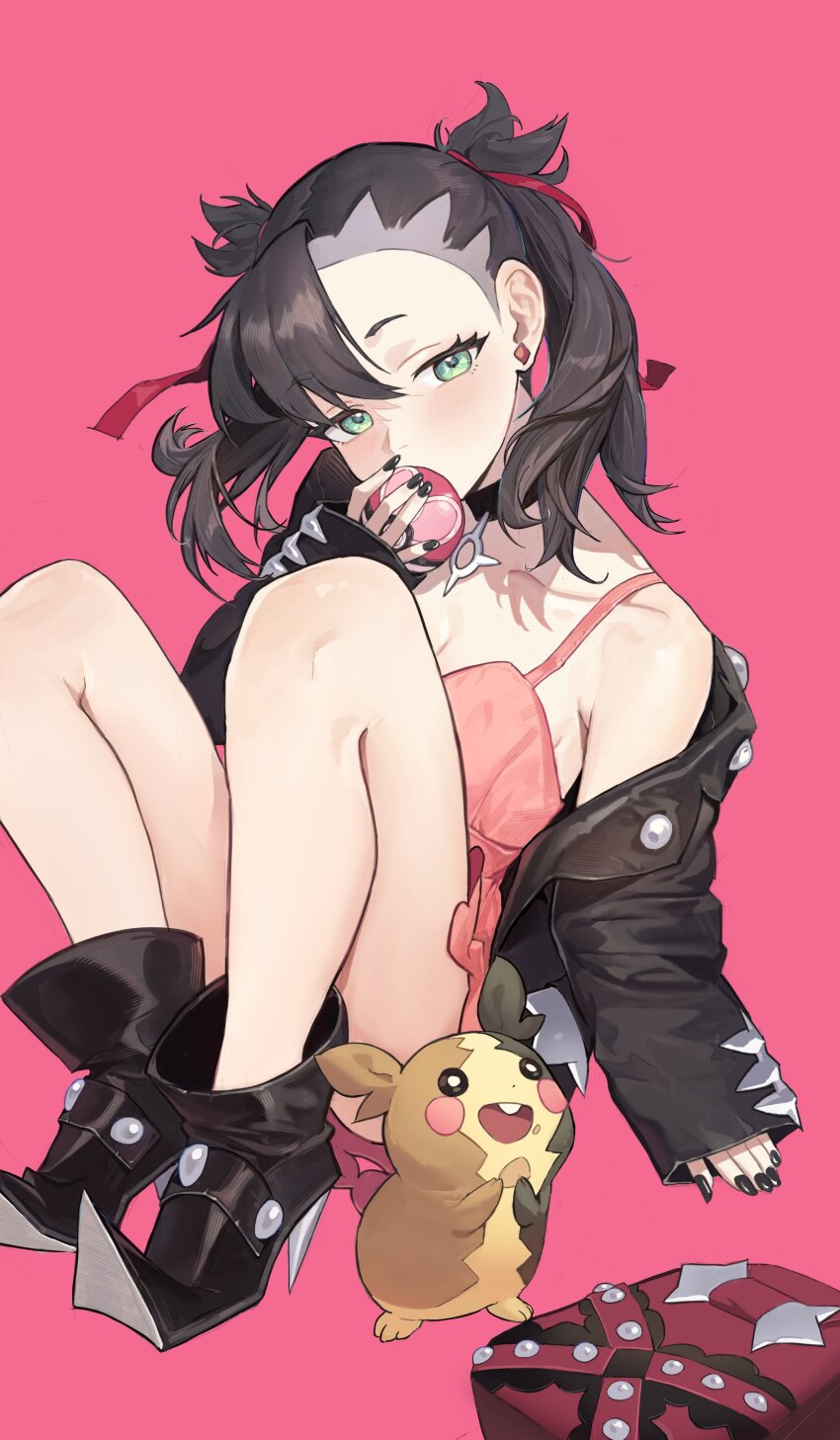 Gen 8 Pokemon (Nintendo) Rule 34 Image