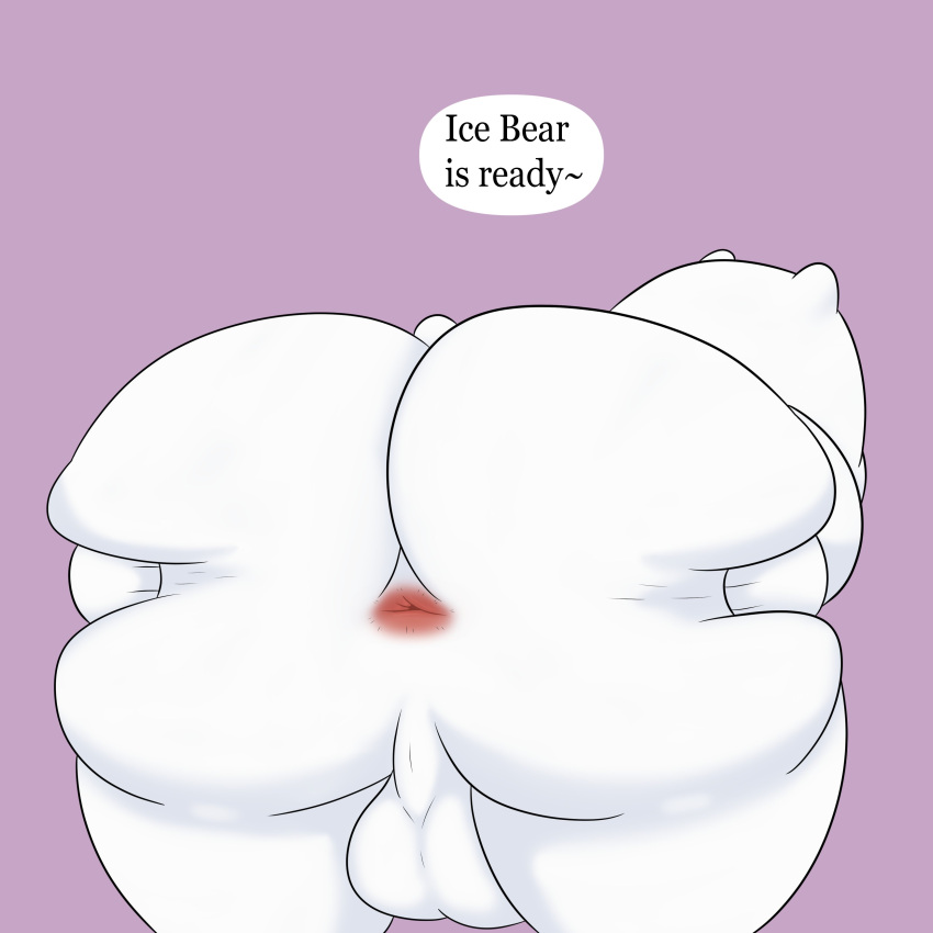 Ice Bear (Cartoon Network) Rule 34 Image