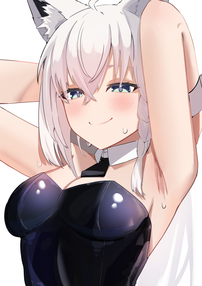 Shirakami Fubuki (Hololive) Rule 34 Image