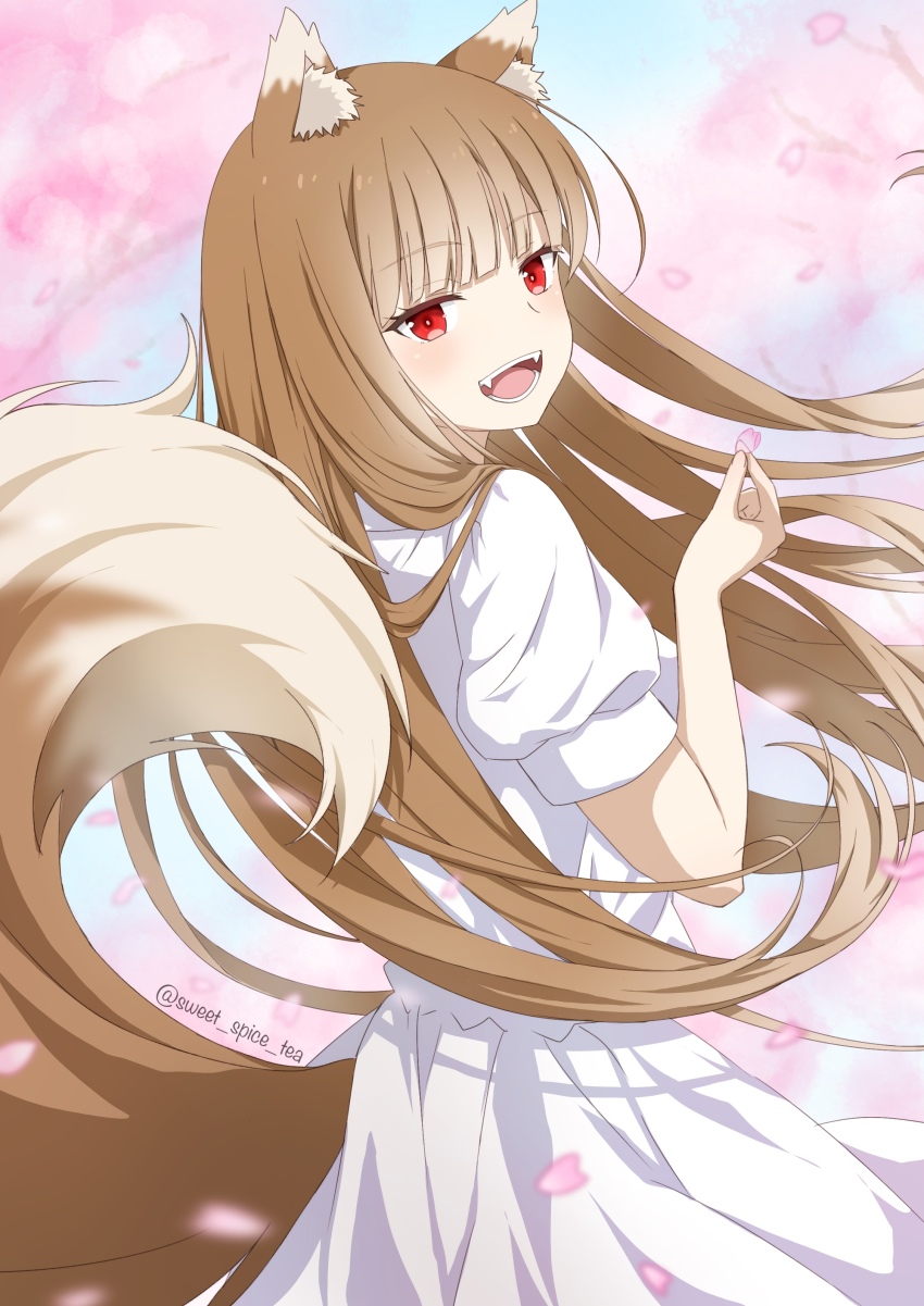 Holo (Spice And Wolf) Rule 34 Image