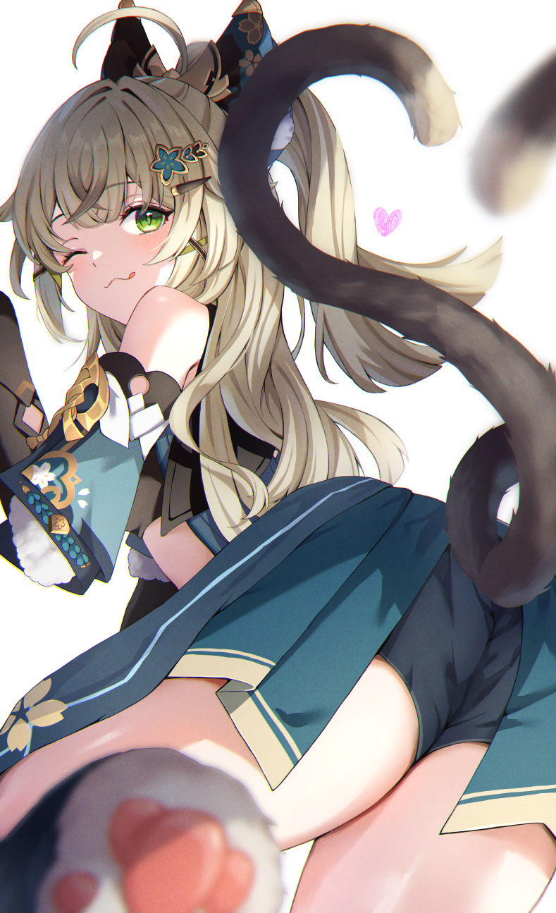 Kirara (Genshin Impact) Rule 34 Image