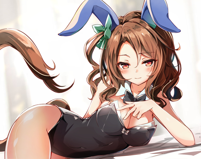 King Halo (Umamusume) Rule 34 Image