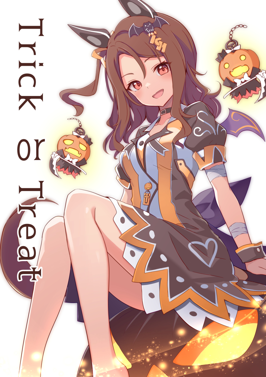King Halo (Umamusume) Rule 34 Image