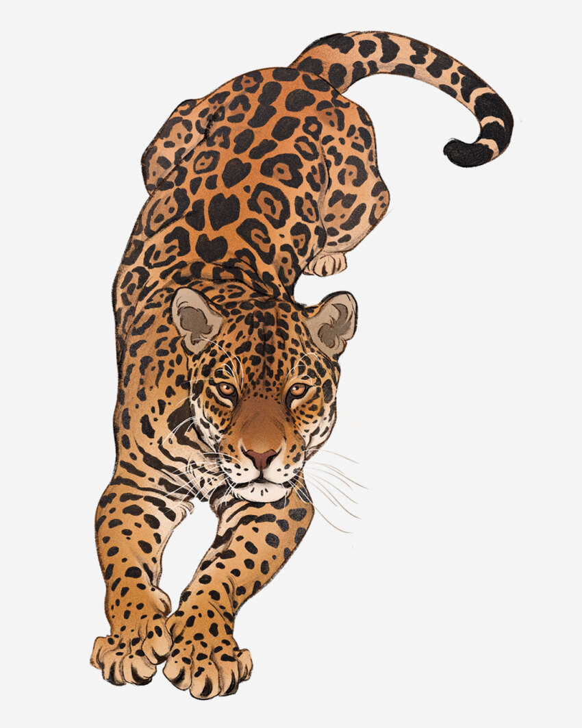 Original Rule 34 Image