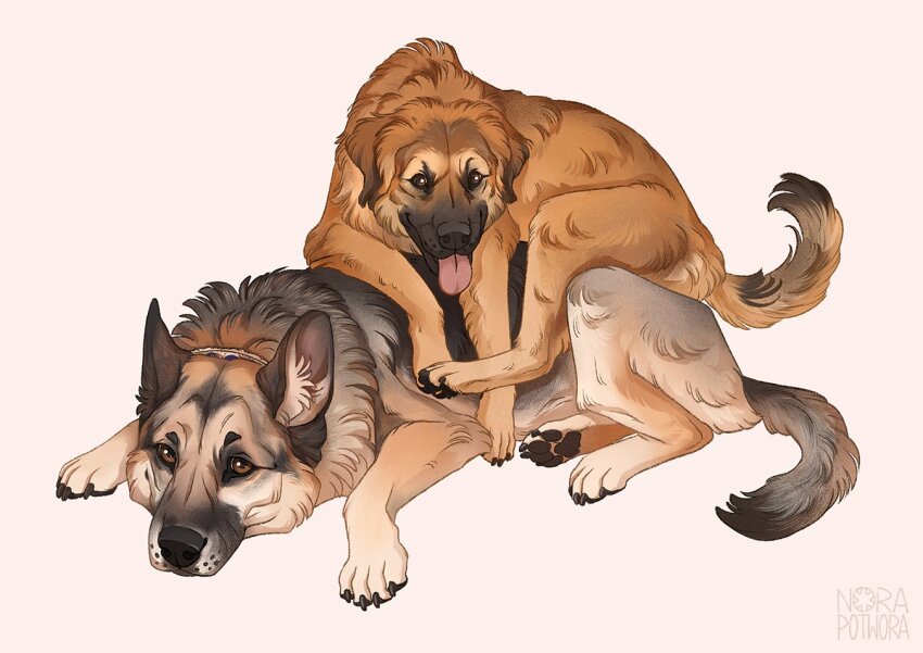 Original Rule 34 Image