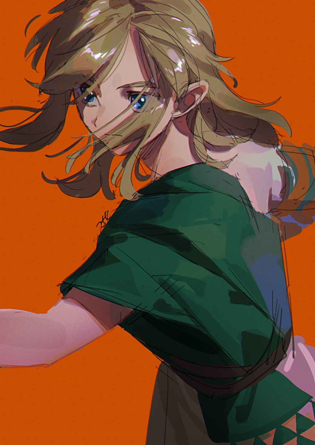 Link (Nintendo) Rule 34 Image