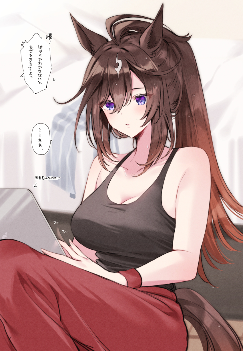 Umamusume Rule 34 Image