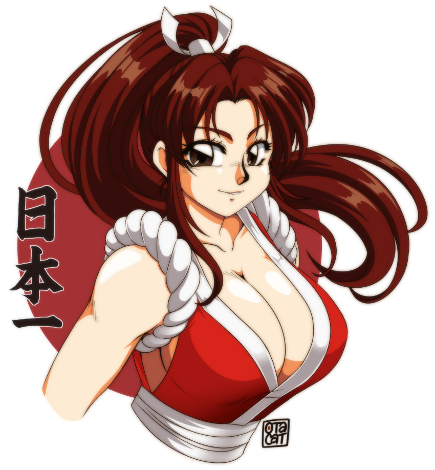 Fatal Fury Rule 34 Image