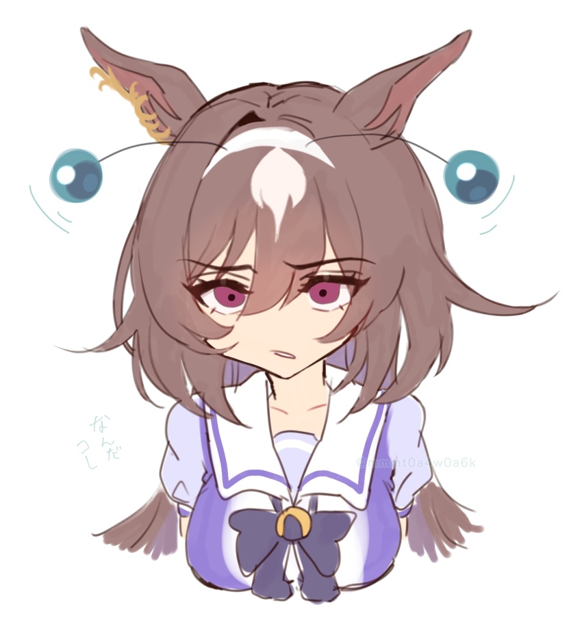 Sirius Symboli (Umamusume) Rule 34 Image