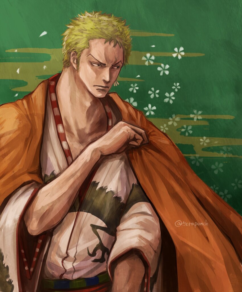 Roronoa Zoro (One Piece) Rule 34 Image