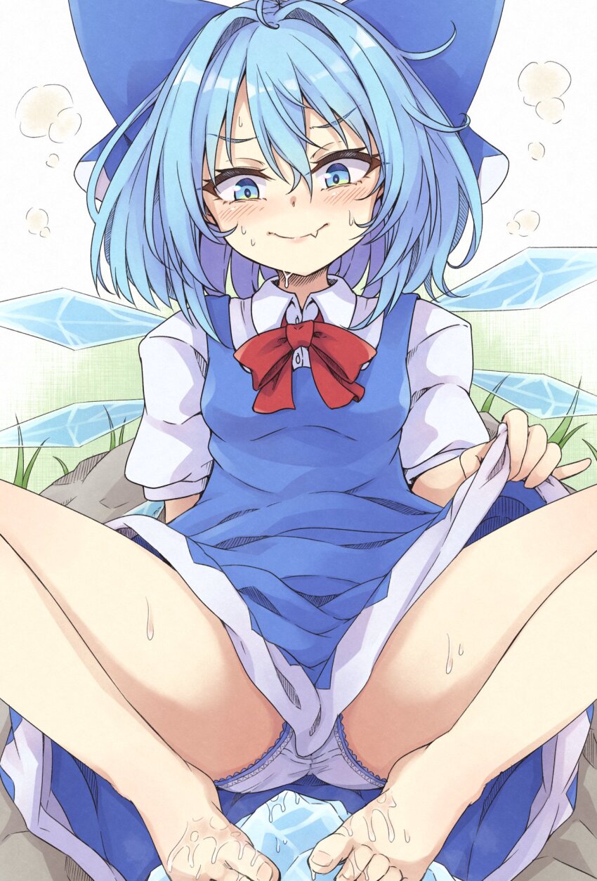 Cirno (Touhou) Rule 34 Image