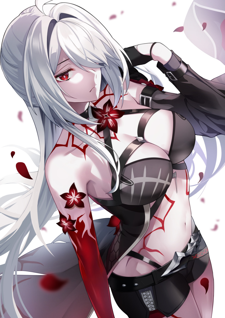 Acheron (Honkai: Star Rail) Rule 34 Image
