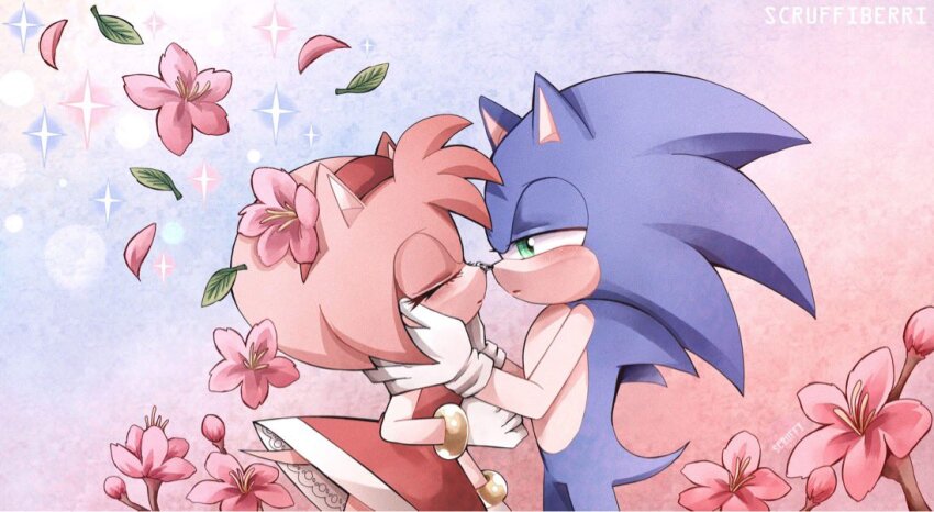Amy Rose (Sonic (Series)) Rule 34 Image