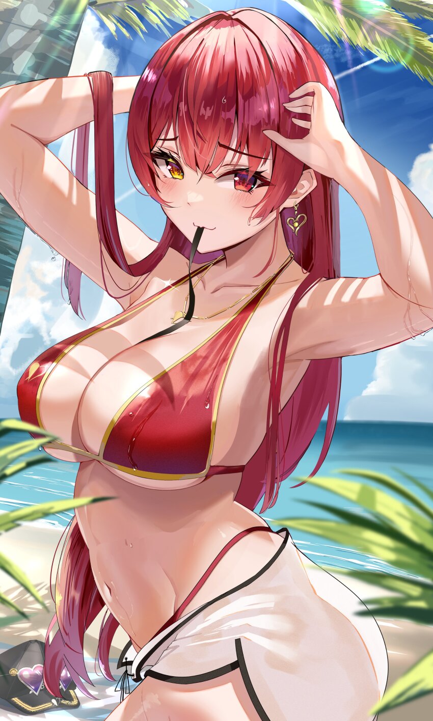 Houshou Marine (Hololive) Rule 34 Image