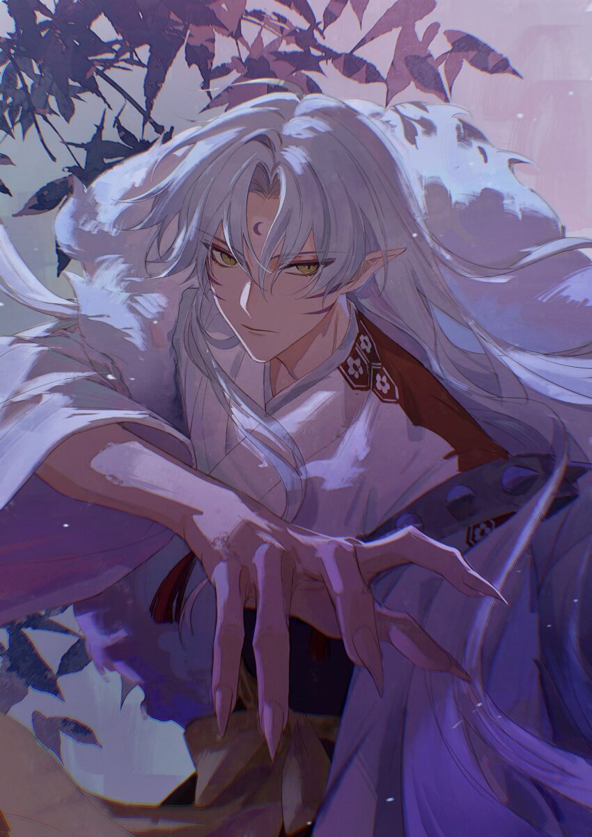 Sesshoumaru (Inuyasha) Rule 34 Image