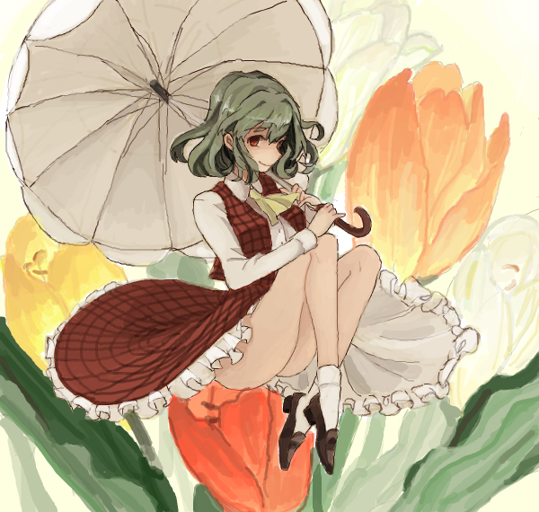 Kazami Yuuka (Touhou) Rule 34 Image